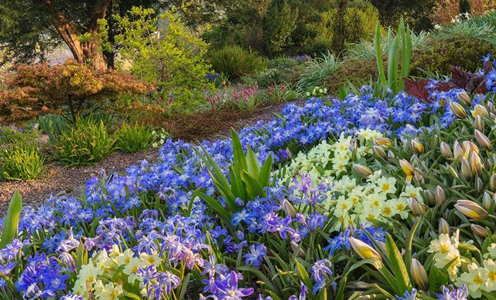 Alpinum Garden
